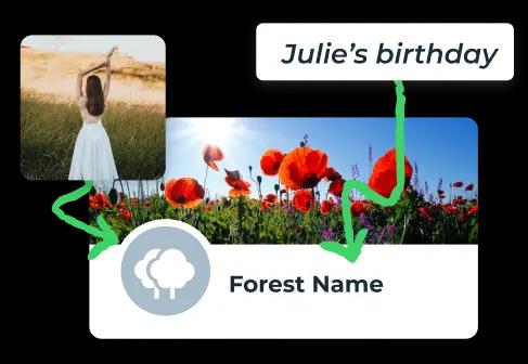 customizable fields